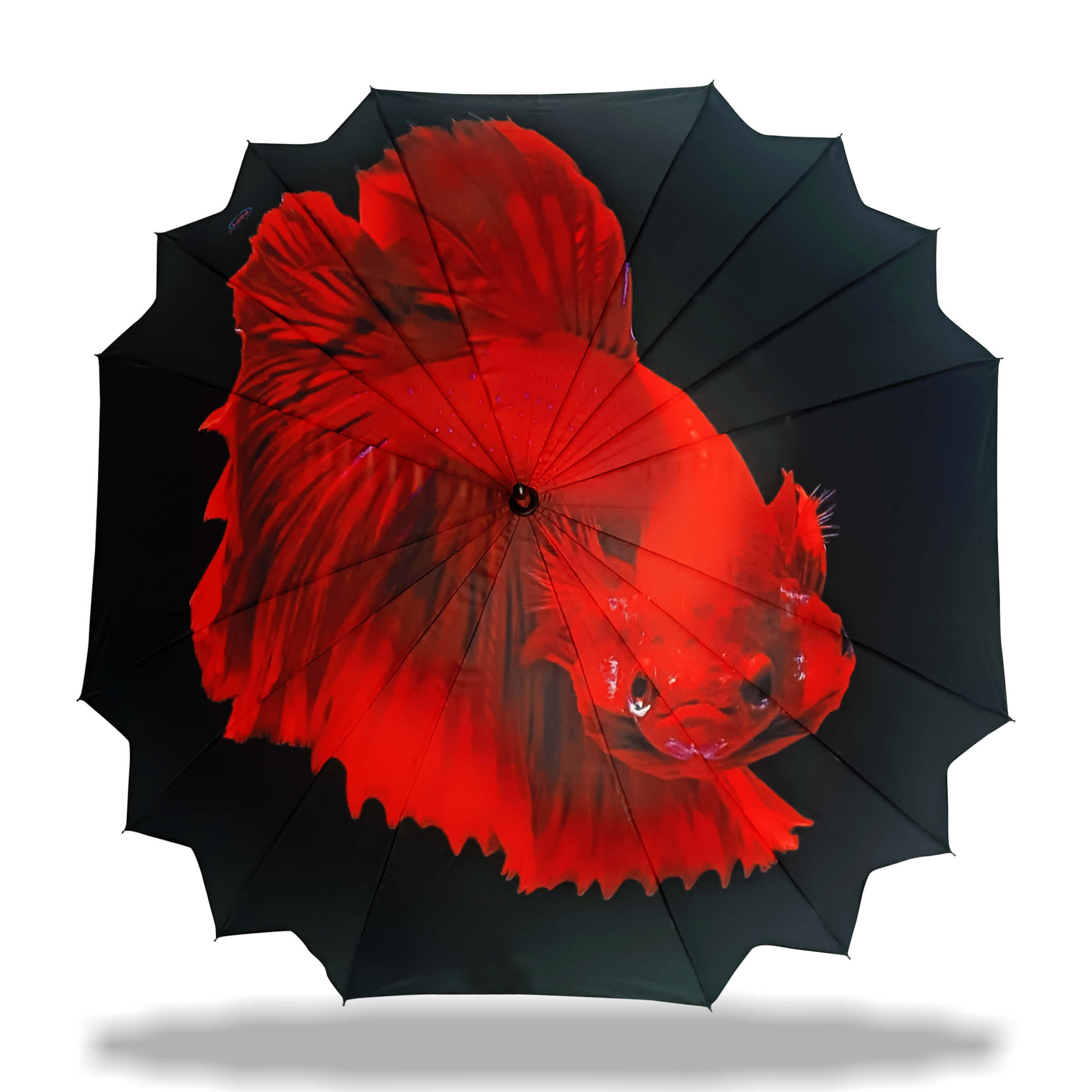 Simple Sophistication Popy's Approach to Umbrella Design